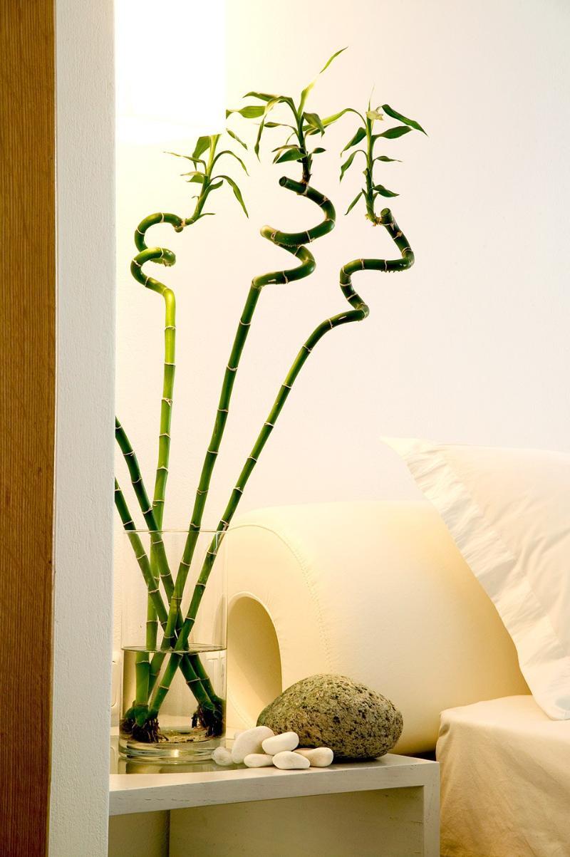 Petasos Beach Resort & Spa - Small Luxury Hotels Of The World Platys Gialos  Bagian luar foto